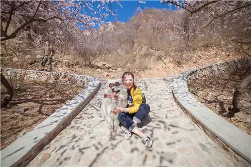 回顾欧帝亿和你相遇春の水长城