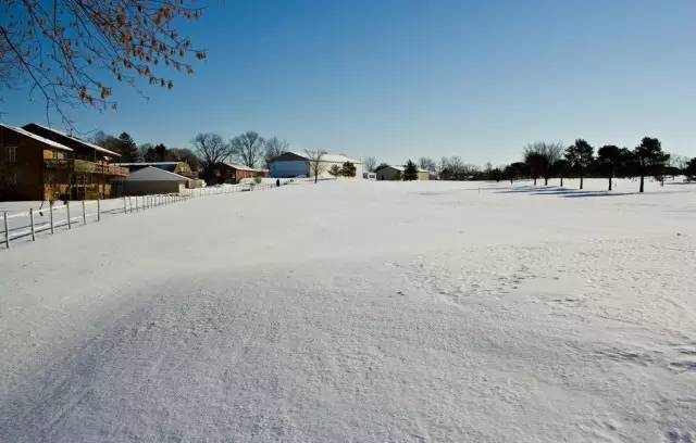中医养生肾的奥秘,黄帝内经肾脏养生