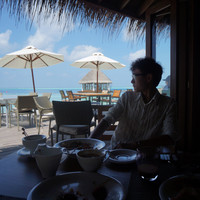 马尔代夫神仙珊瑚岛攻略,马尔代夫神仙珊瑚岛视频