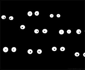 海淘烟草超过100就要交税吗,海淘1盒100支雪茄要交多少税