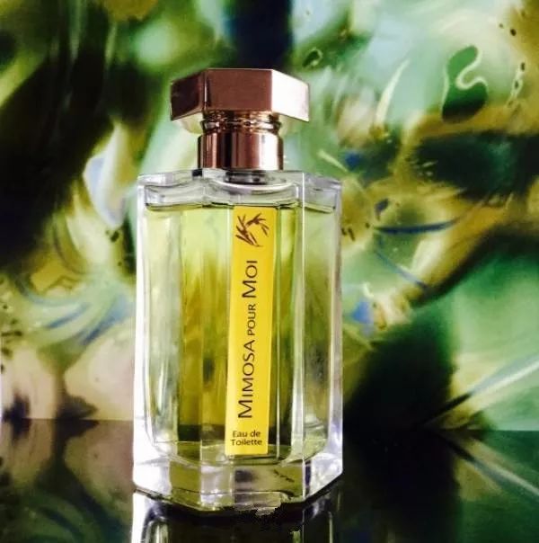 小七的生活笔记,小七的日常生活日记