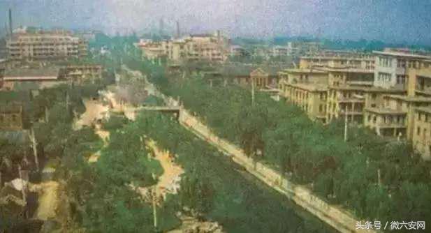 请回答80后完整版,请回答1988完整版