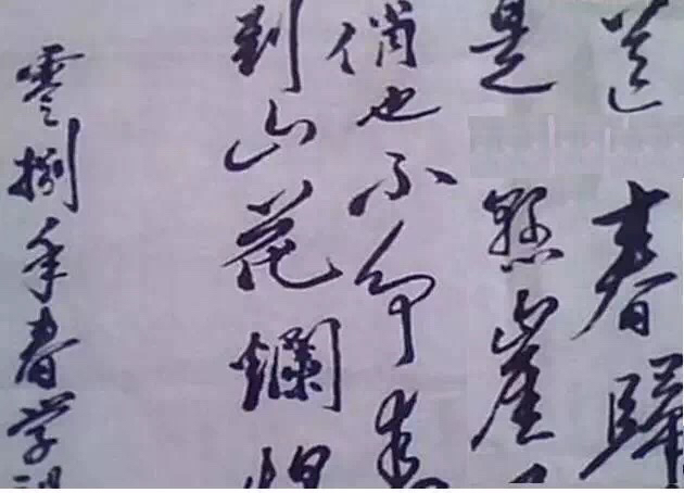 *新宇毛**书法也有大家风范令人敬佩