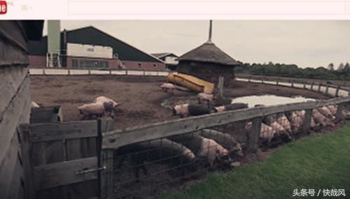 1980年恐怖连环杀人案,养猪场发现女尸