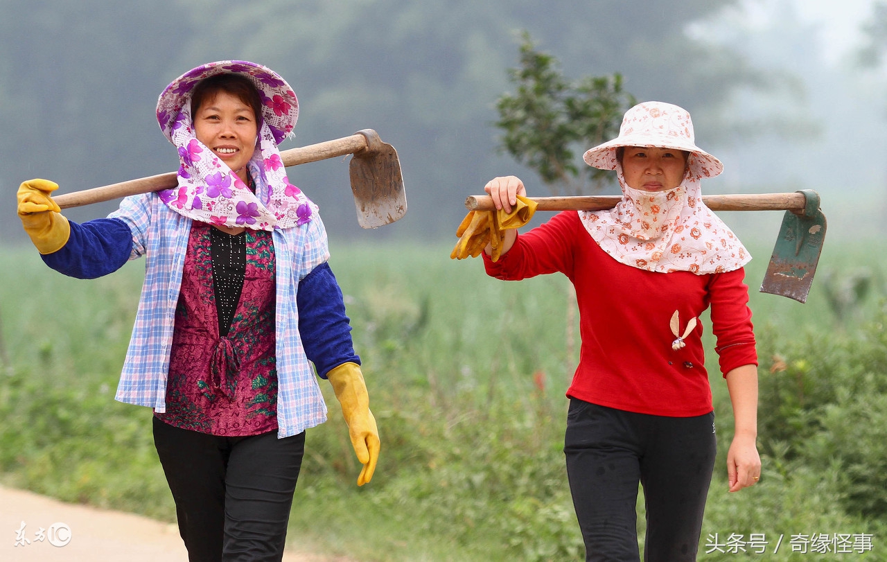 孩子满月,受我家多年恩惠的堂姐只送旧衣服,扔回去却挨了打