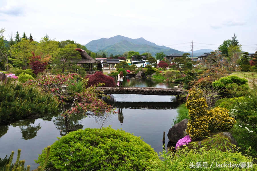 日本景点忍野八海,走进日本富士山视频