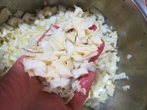 自制山东猪肉白菜大包子，按照这个步骤做就对了