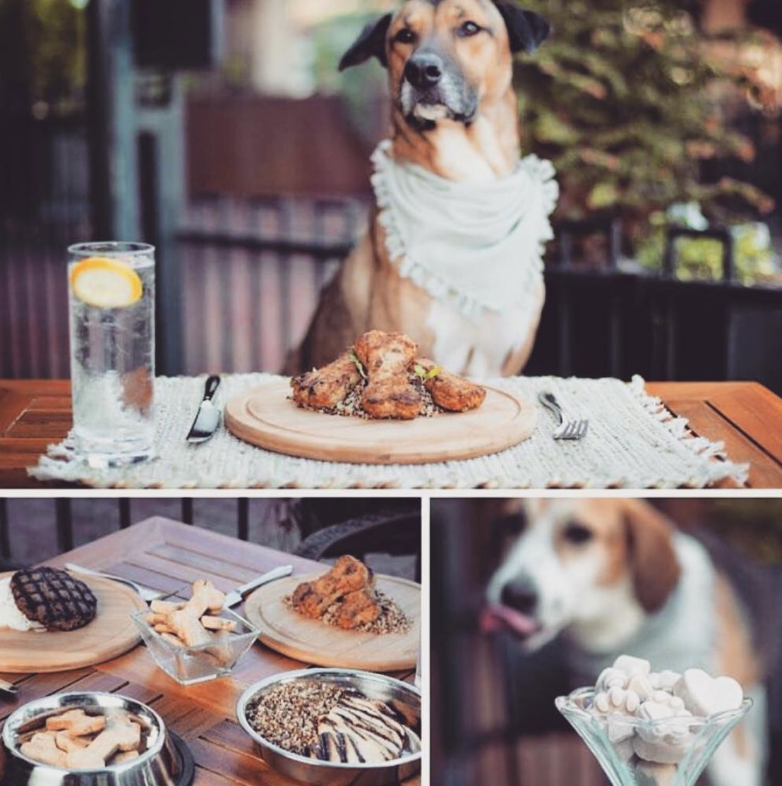 当狗炫起富来根本没人什么事儿了