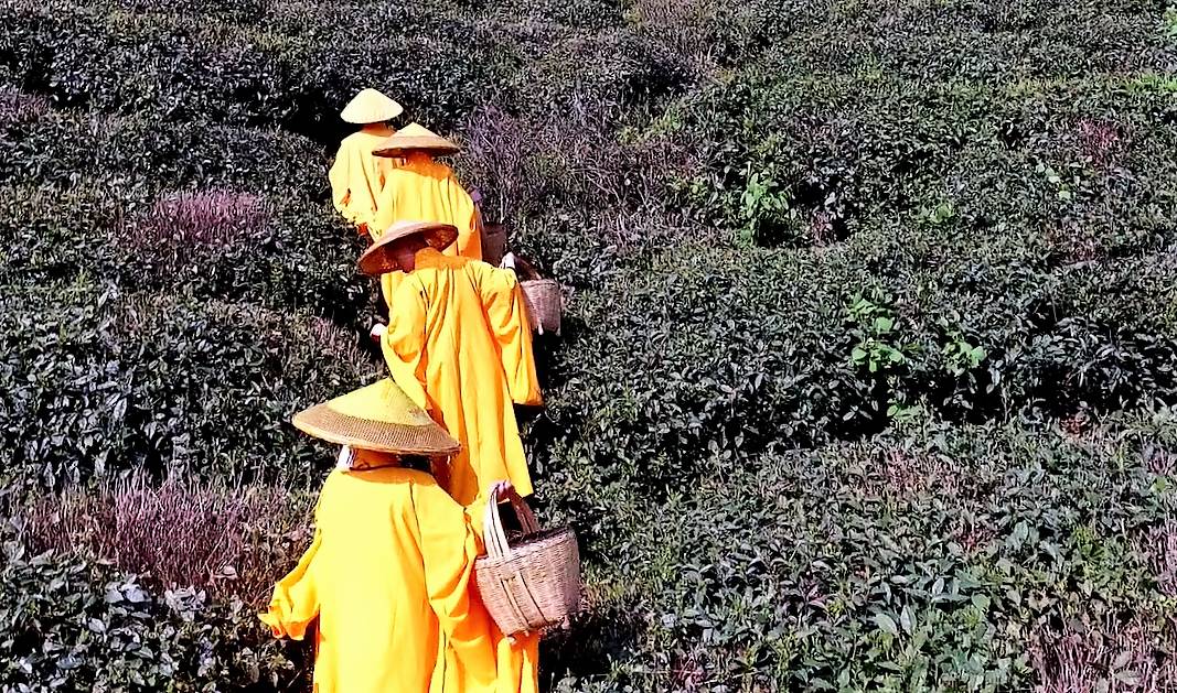 黄冈，这里不只有学霸和试卷