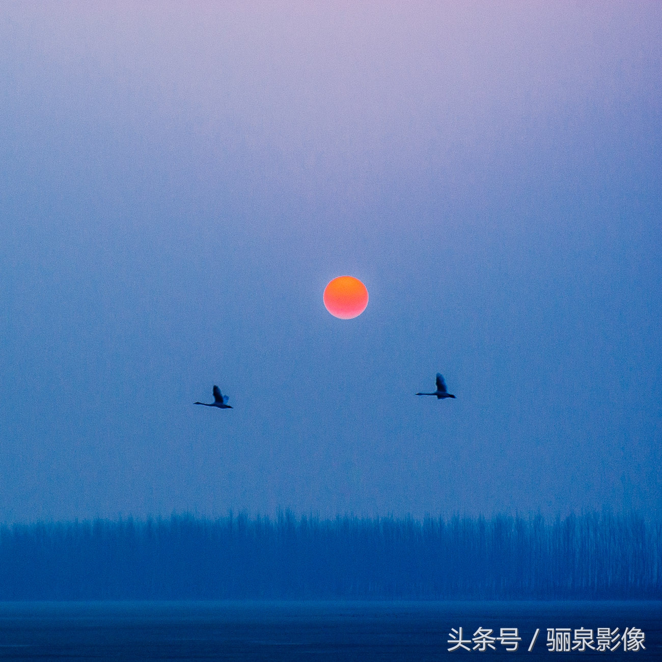 宾得相机推荐型号有哪些,宾得的相机怎么样