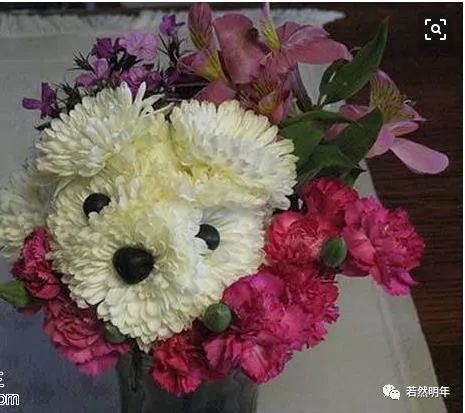 致前任希望各自安好,致曾经前任