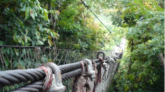 三亚吃喝玩乐亲身攻略