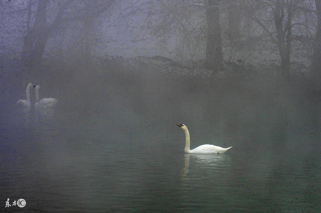 农谚俗语和天气预报哪个更靠谱,农村大雾是什么原因