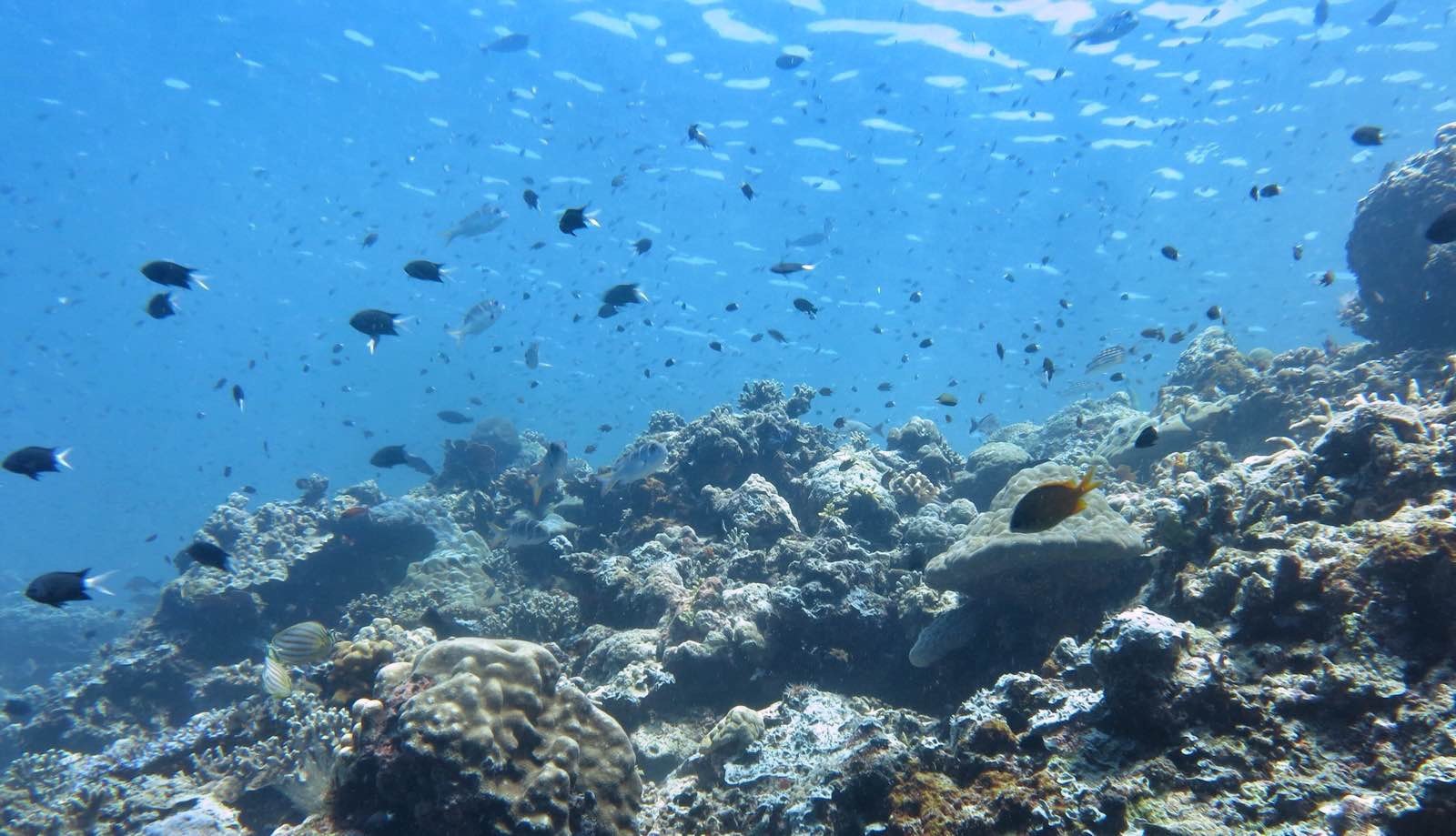 去沙巴旅游的原因,一定要去马来西亚的理由