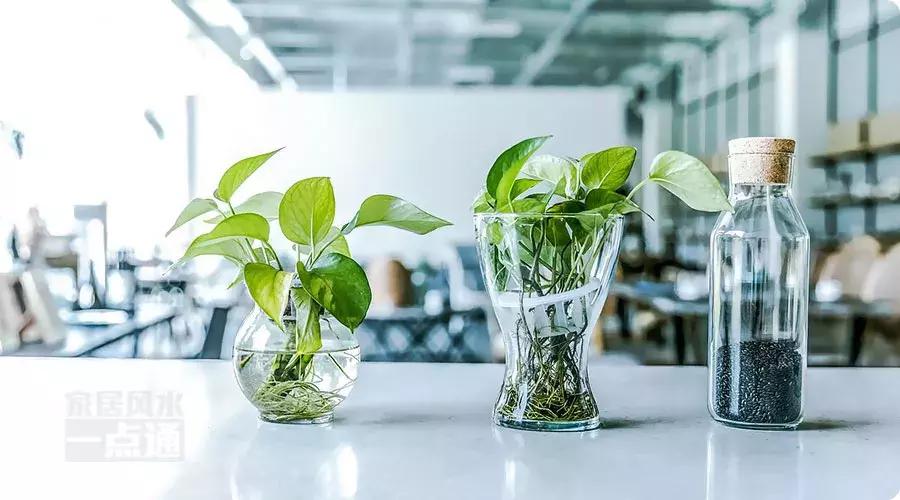 福人居福地风水宝地,祖宅最佳的风水布局图