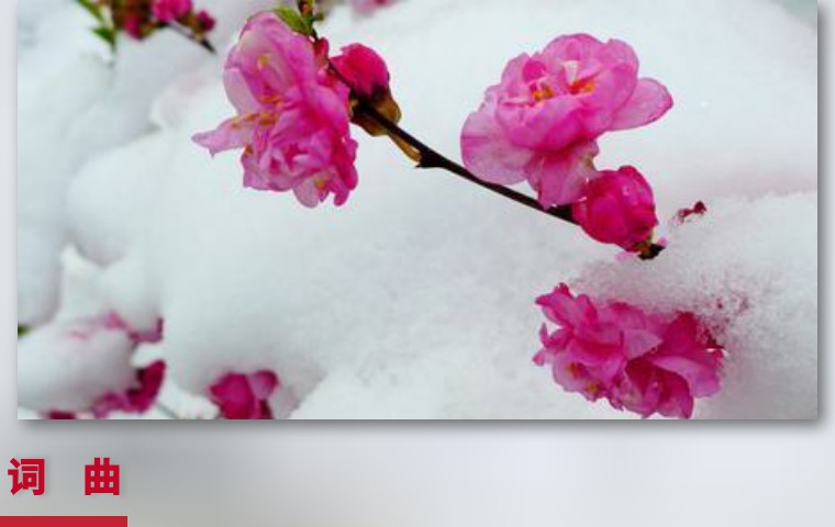 黄鹤苑诗词七律,黄鹤诗苑作品欣赏