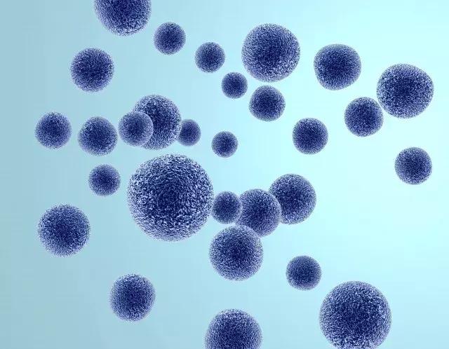 被人咬了破皮要不要打破伤风,被人咬了需不需要打破伤风