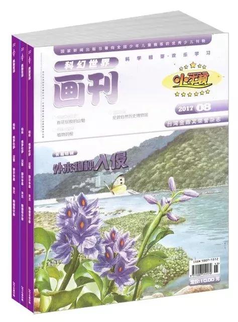 好强大!今年给孩子订杂志,一定看看这份攻略大全!