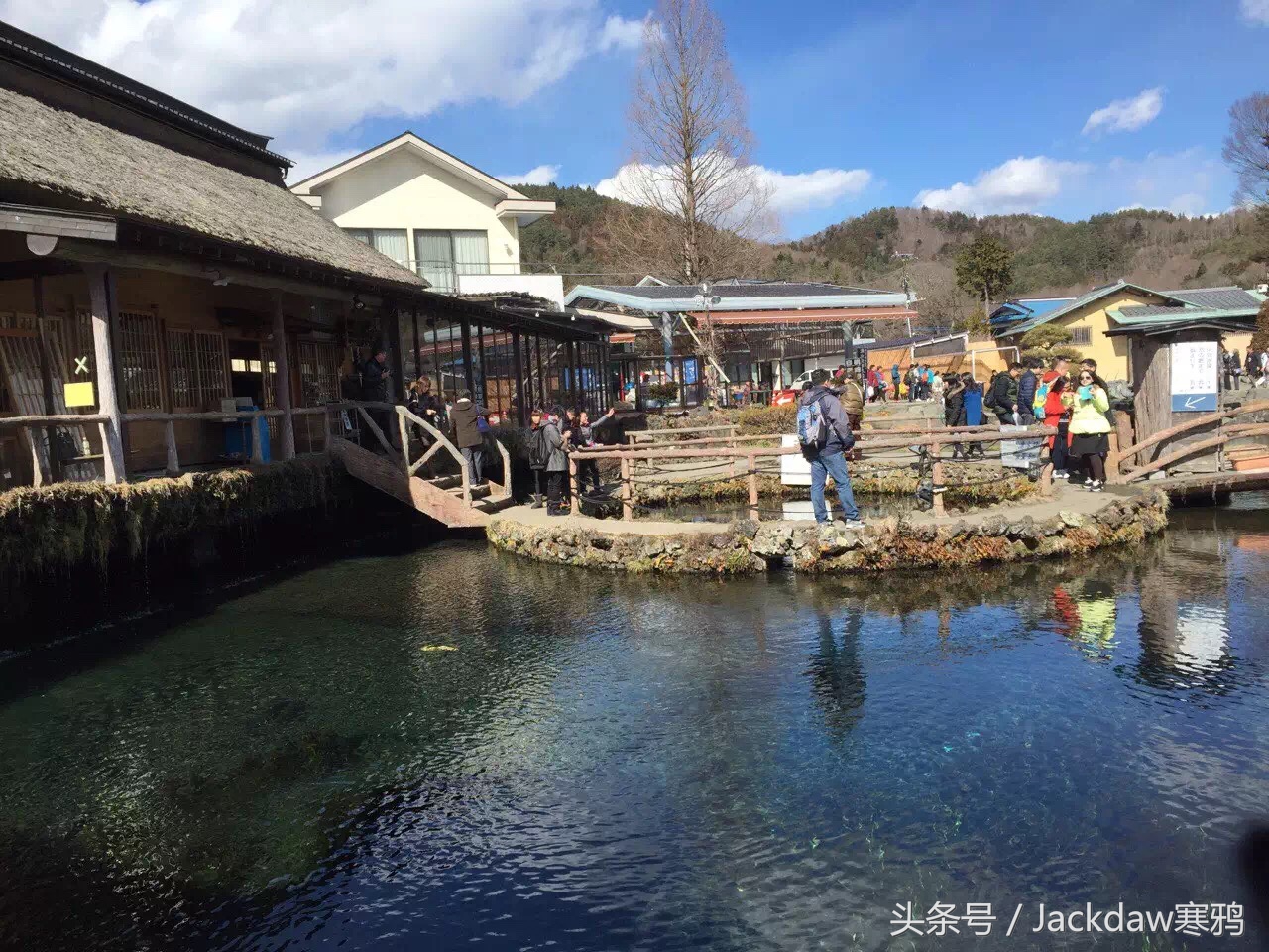 日本景点忍野八海,走进日本富士山视频