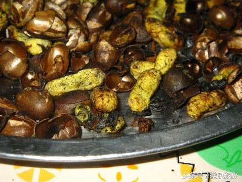 让人无法接受的美食虫子,奇葩昆虫美食