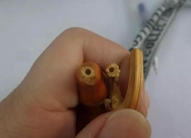 文玩葫芦没龙头怎么装饰,文玩葫芦龙头断了怎么办