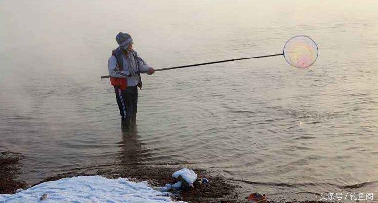 人工合成麝香泡酒钓鱼,麝香酒钓鱼的正确方法