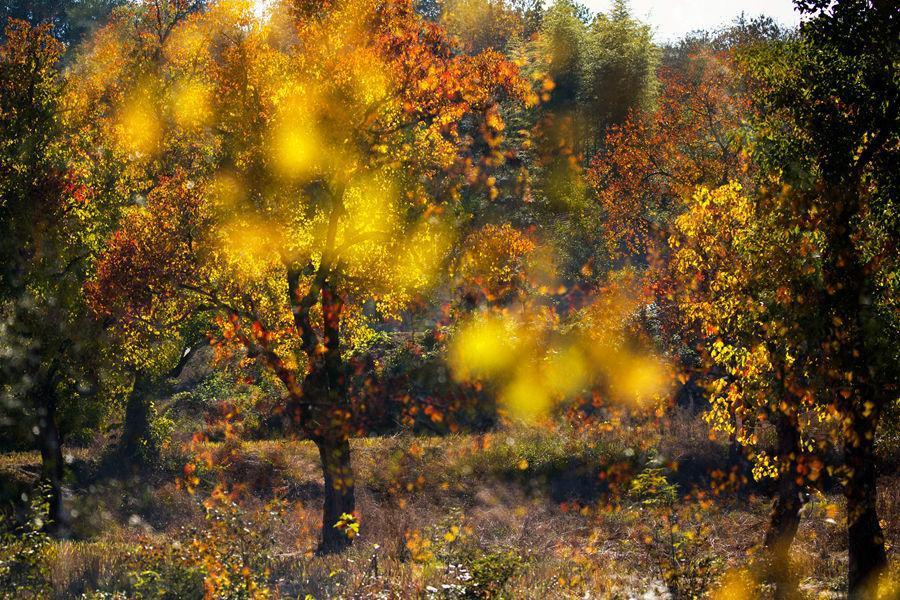 黄冈，这里不只有学霸和试卷