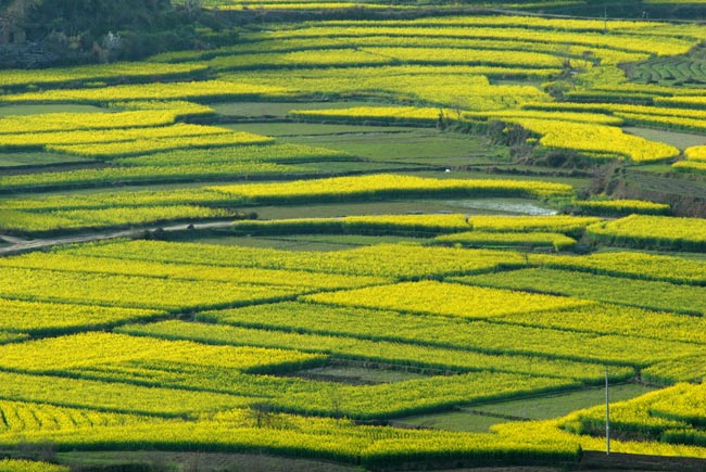黄冈，这里不只有学霸和试卷