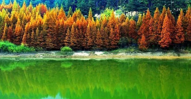 黄冈，这里不只有学霸和试卷