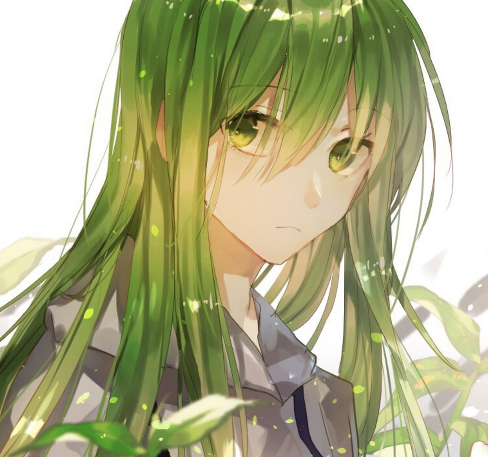 fatego恩奇都,fatego金闪闪