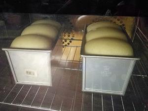 200%波兰种酸奶吐司,波兰种牛奶吐司超级松软拉丝