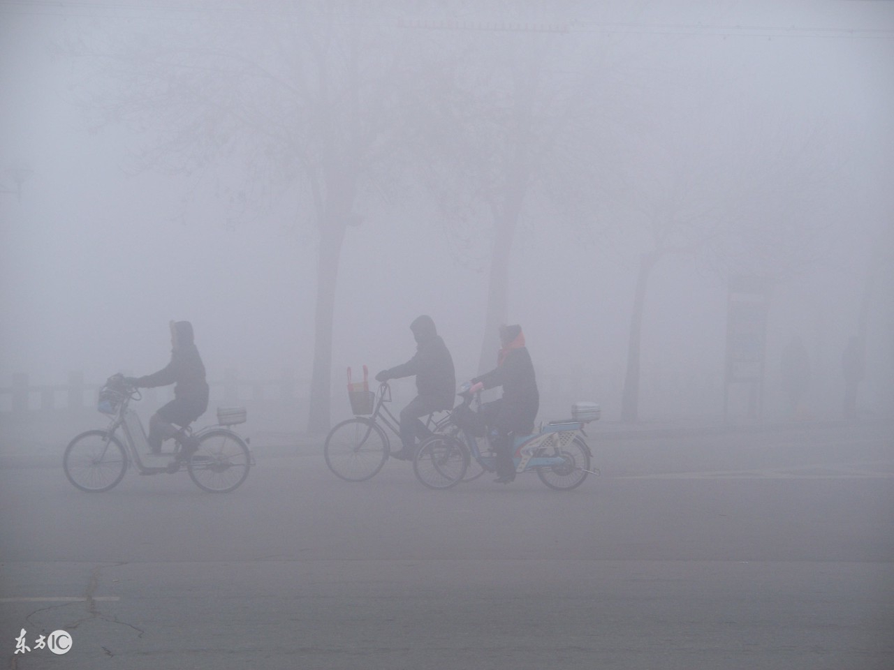 农谚俗语和天气预报哪个更靠谱,农村大雾是什么原因