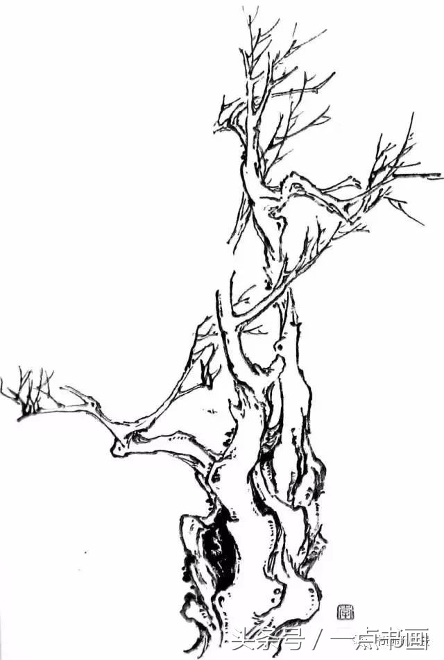 国画示范,国画老树的画法