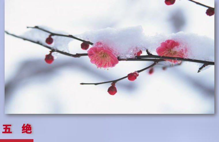 黄鹤苑诗词七律,黄鹤诗苑作品欣赏