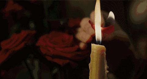 一见凡尘误终生,一见误终生系列