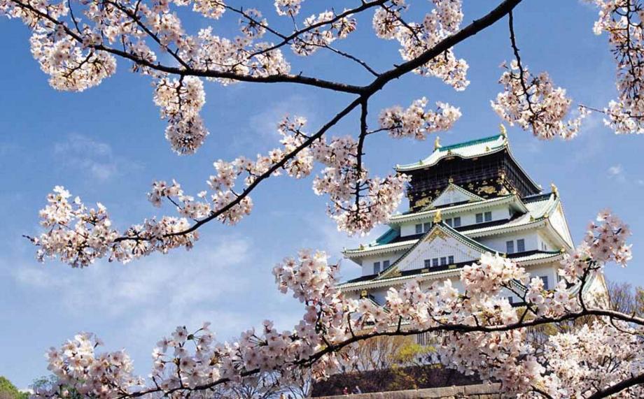 10来万的表哪个最保值,百达翡丽最便宜的手表多少钱一块