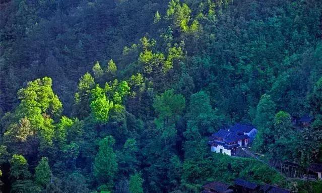 2019国内最美旅行时间表出炉,浙江最美旅游日历