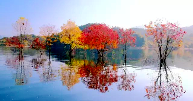 黄冈，这里不只有学霸和试卷