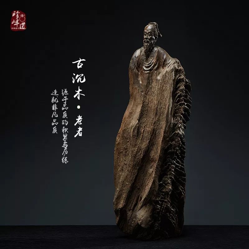 阴沉木是哪几种木,阴沉木种类详细分析