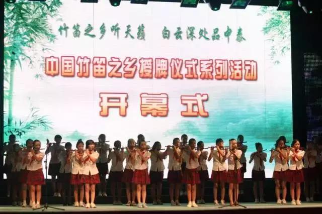 中国最大乐器厂在哪里,民族乐器四大基地