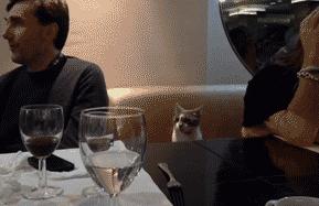 阅读文章为什么不给金币了,阅读文章为什么得不到金币了