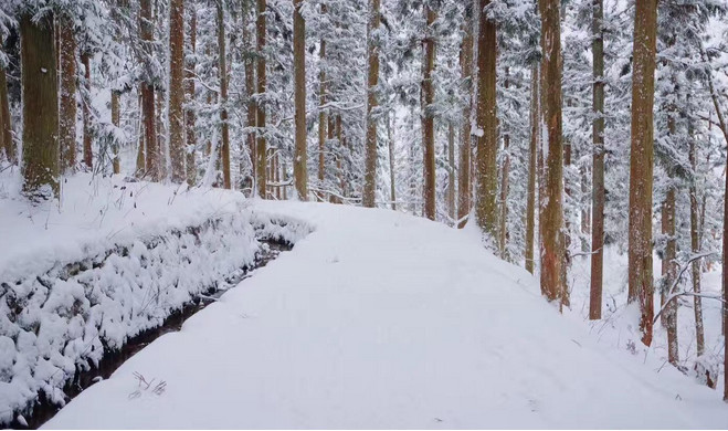 为了赚钱，用猴子泡温泉赚眼球！网友说：太心疼了，看不下去了
