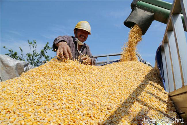 2021年农机合作社扶持政策,河南农机合作社柴油补贴政策