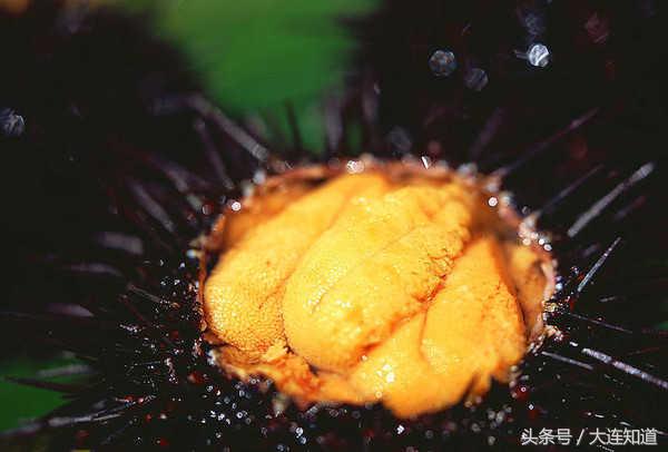 大连有哪些特产值得带,大连不能错过的平民美食