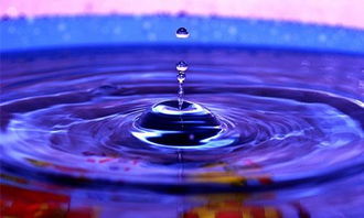 道德经柔弱胜刚强,道德经中柔弱胜刚强的本质与启示