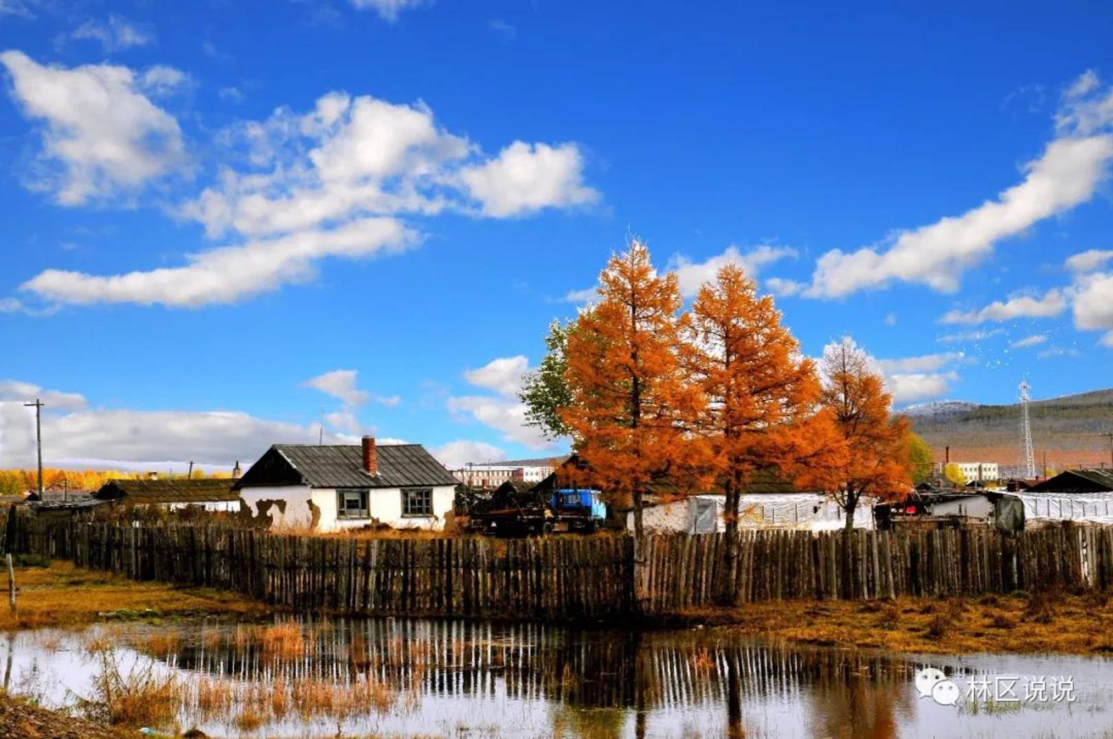 真实的大兴安岭是什么样的,探索神秘的大兴安岭