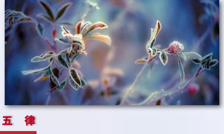 黄鹤苑诗词七律,黄鹤诗苑作品欣赏