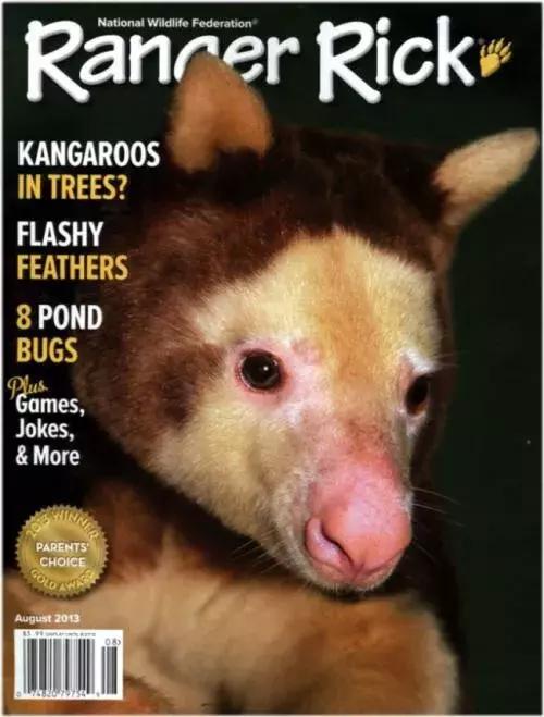 好强大!今年给孩子订杂志,一定看看这份攻略大全!