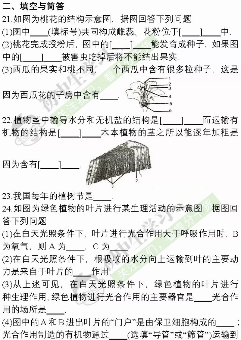期末黄冈密卷七年级数学,期末密卷八年级