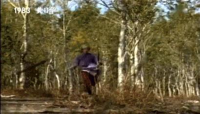 叉车租赁服务项目有哪些,叉车租赁行业现状及分析